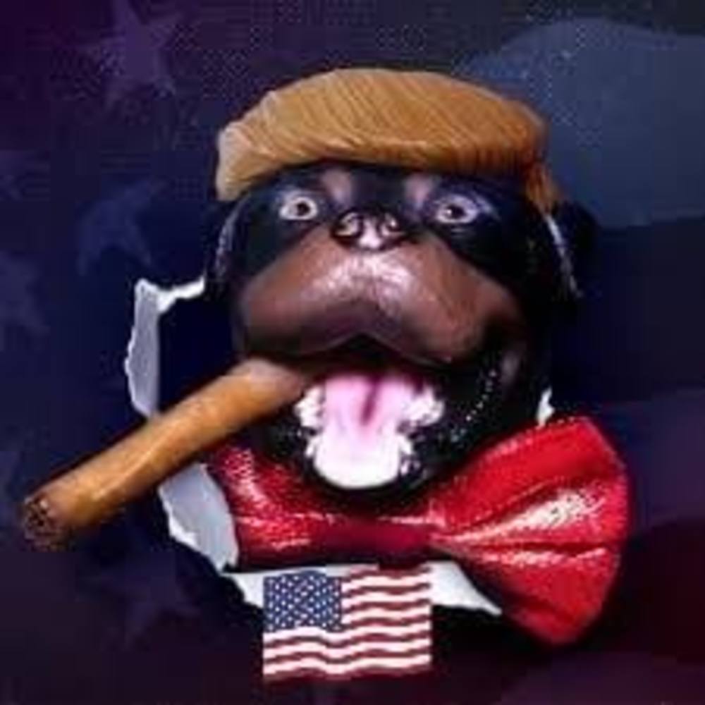 Meet your Posher, Lisa marie